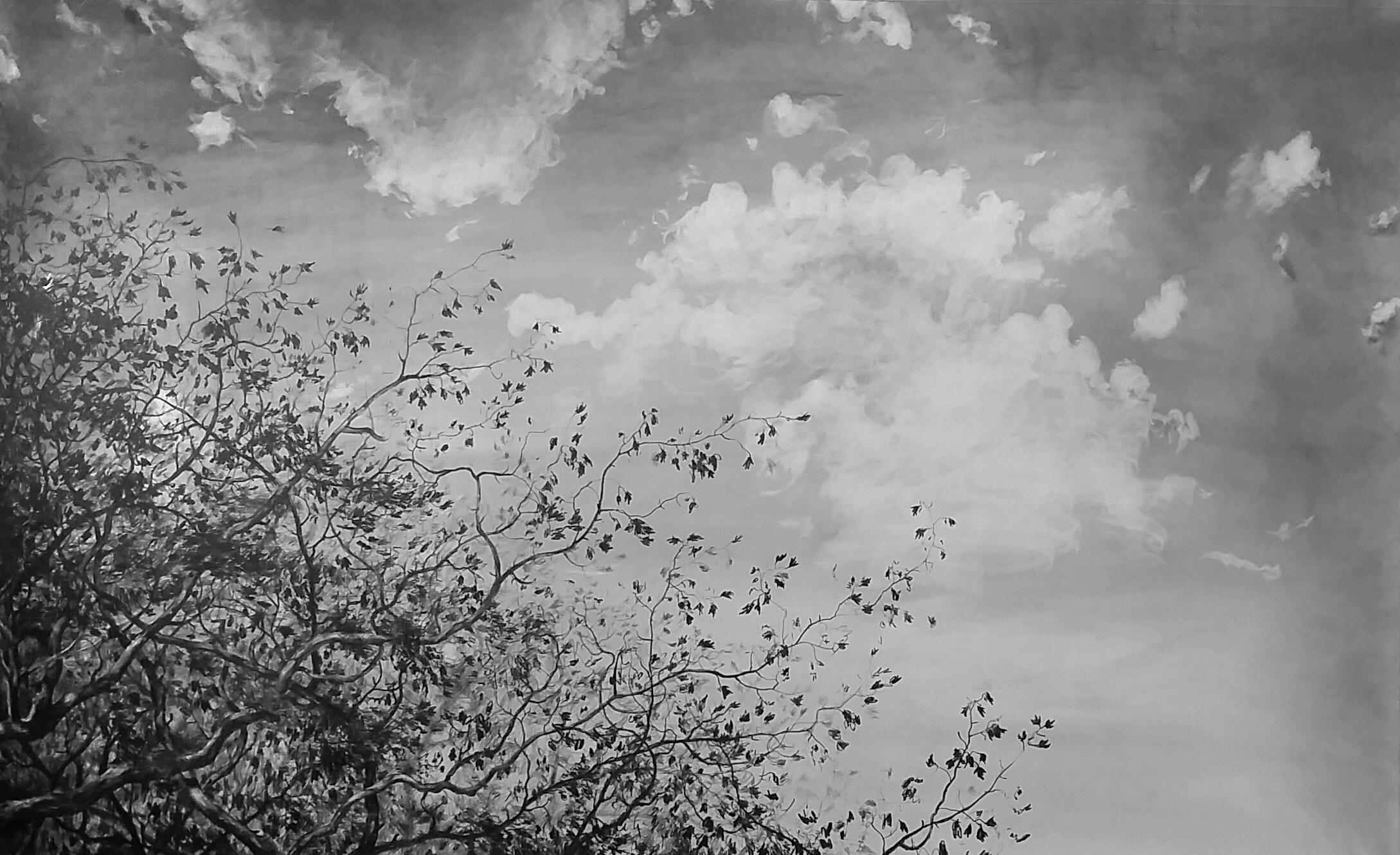 Landscape Drawings — Todd Mrozinski